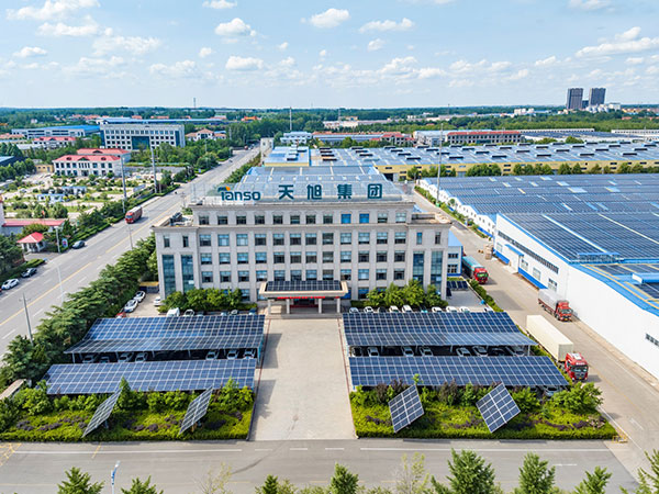 百老汇-温瑞博打疯了，王楚钦签位如何？王皓喜忧参半，樊振东是否要回归